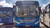 Concessionária Salvador Norte - CSN Transportes 10131 na cidade de Salvador, Bahia, Brasil, por Jessé Ferreira Gonçalves. Número da foto: #5428060.
