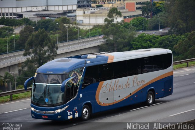 Bia Turismo > Aellos de Ouro 8218 na cidade de Barueri, São Paulo, Brasil, por Michael  Alberto Vieira. Número da foto: #5430515.