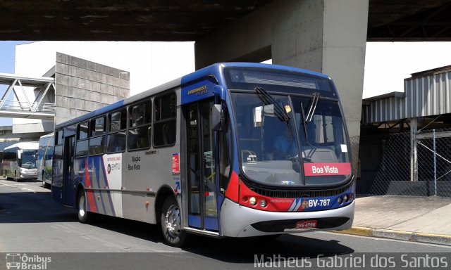 Viação Boa Vista BV-787 na cidade de Campinas, São Paulo, Brasil, por Matheus Gabriel dos Santos. Número da foto: #5434655.