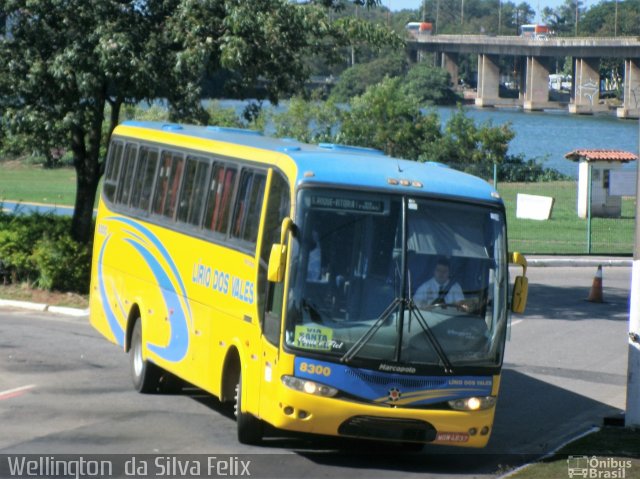 Viação Lírio dos Vales 8300 na cidade de Vitória, Espírito Santo, Brasil, por Wellington  da Silva Felix. ID da foto: 5435341.