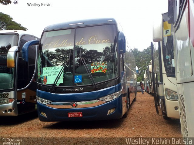 Bia Turismo > Aellos de Ouro 8219 na cidade de Atibaia, São Paulo, Brasil, por Weslley Kelvin Batista. Número da foto: #5435646.