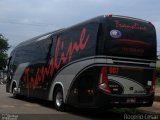 Transline 907 na cidade de Londrina, Paraná, Brasil, por Rogério César. Número da foto: #5441708.