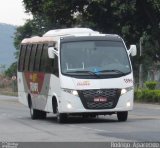 Viação Triunfo 1396 na cidade de Belo Horizonte, Minas Gerais, Brasil, por Rodrigo  Aparecido. Número da foto: #5443726.