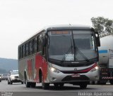 WV Tour 5160 na cidade de Belo Horizonte, Minas Gerais, Brasil, por Rodrigo  Aparecido. Número da foto: #5443732.