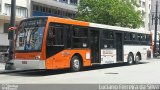 TRANSPPASS - Transporte de Passageiros 8 1081 na cidade de São Paulo, São Paulo, Brasil, por Luciano Ferreira da Silva. Número da foto: #5447159.