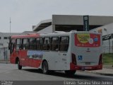 Expresso Luziense > Territorial Com. Part. e Empreendimentos 30230 na cidade de Santa Luzia, Minas Gerais, Brasil, por Eloisio  Saraiva Silva Junior. Número da foto: #5448964.
