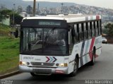 Hibisco Turismo 250 na cidade de Belo Horizonte, Minas Gerais, Brasil, por Adão Raimundo Marcelino. Número da foto: #5452091.