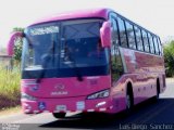 TRACOPA - Transportes Costarricenses Panameños 39 na cidade de , por Luis Diego Sánchez. Número da foto: #5449908.