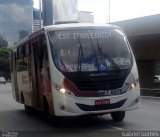 Transwolff Transportes e Turismo 7 8075 na cidade de São Paulo, São Paulo, Brasil, por Gabriel  da Silva Gomes. Número da foto: #:id.