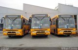 Transportes Coletivos Nossa Senhora da Piedade 184 na cidade de Curitiba, Paraná, Brasil, por Alessandro Fracaro Chibior. Número da foto: #:id.