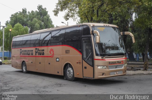 Primera Plus 6031 na cidade de , por Oscar Rodriguez . Número da foto: #5398308.