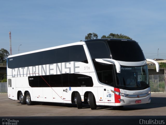 Auto Viação Catarinense 3736 na cidade de Curitiba, Paraná, Brasil, por Paulo Roberto Chulis. Número da foto: #5397879.