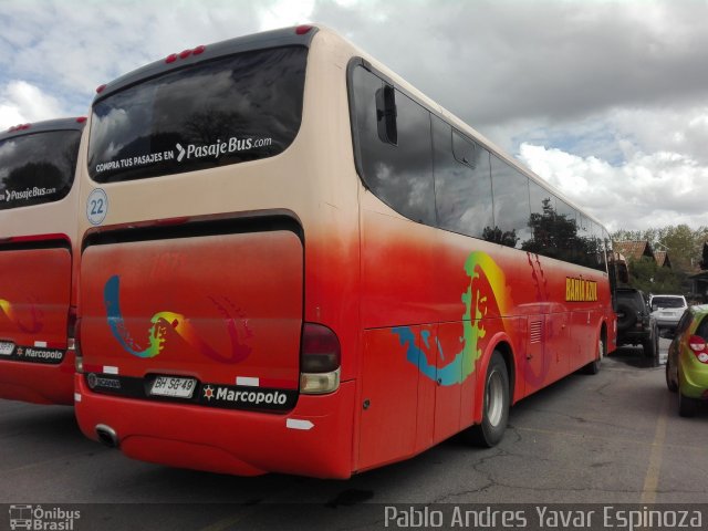 Empresa de Buses Bahia Azul 22 na cidade de Santa Cruz, Colchagua, Libertador General Bernardo O'Higgins, Chile, por Pablo Andres Yavar Espinoza. Número da foto: #5398169.