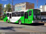 VB Transportes e Turismo 3919 na cidade de Campinas, São Paulo, Brasil, por Weslley Kelvin Batista. Número da foto: #5399259.
