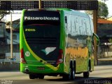 Pássaro Verde 2015 na cidade de Belo Horizonte, Minas Gerais, Brasil, por Adão Raimundo Marcelino. ID da foto: :id.