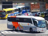 Viação Cidade do Aço RJ 174.050 na cidade de Rio de Janeiro, Rio de Janeiro, Brasil, por Richard Wagner. Número da foto: #5402105.