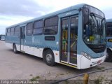 Transportes Santa Maria 623 na cidade de Pelotas, Rio Grande do Sul, Brasil, por Felipe Ferreira Ribeiro. Número da foto: #5404785.