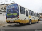 Empresa Metropolitana 225 na cidade de Recife, Pernambuco, Brasil, por Felipe Luiz. Número da foto: #5403875.