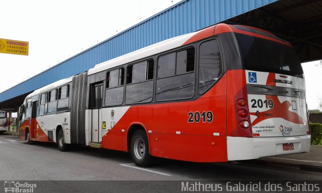 Itajaí Transportes Coletivos 2019 na cidade de Campinas, São Paulo, Brasil, por Matheus Gabriel dos Santos. Número da foto: #5463531.