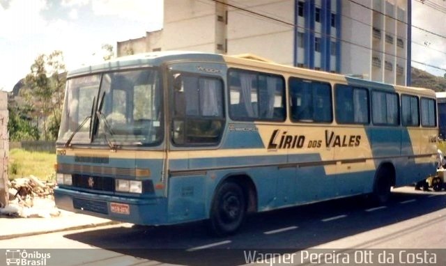 Viação Lírio dos Vales 1100 na cidade de Vitória, Espírito Santo, Brasil, por Wagner  Pereira da Costa. ID da foto: 5463201.