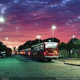 Auto Viação Salineira 355 na cidade de Cabo Frio, Rio de Janeiro, Brasil, por Vinícius  Christófori. Número da foto: #:id.