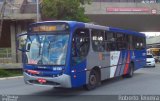 Vipol Transportes Rodoviários - TIPBUS - Transportes Intermunicipal 36.130 na cidade de São Paulo, São Paulo, Brasil, por Roberto Teixeira. Número da foto: #5464152.