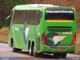 Pássaro Verde 11104 na cidade de Mariana, Minas Gerais, Brasil, por César Natividade. Número da foto: #:id.