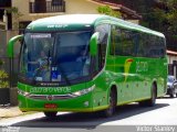 Pássaro Verde 15127 na cidade de Ouro Preto, Minas Gerais, Brasil, por Victor Stanley. Número da foto: #5485961.