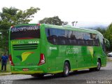 Pássaro Verde 15146 na cidade de Ouro Preto, Minas Gerais, Brasil, por Victor Stanley. Número da foto: #5485963.