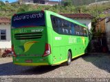 Pássaro Verde 15127 na cidade de Ouro Preto, Minas Gerais, Brasil, por Victor Stanley. Número da foto: #5485949.