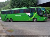 Pássaro Verde 28030 na cidade de Ponte Nova, Minas Gerais, Brasil, por Victor Stanley. Número da foto: #5485945.