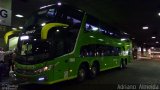 Pássaro Verde 12127 na cidade de Belo Horizonte, Minas Gerais, Brasil, por Adriano  Almeida. Número da foto: #5490170.