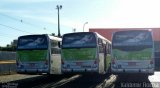 Viação Garcia 7649 na cidade de Maringá, Paraná, Brasil, por Hilo Adorno. Número da foto: #5491369.