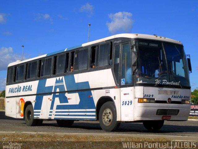 Falcão Real 5029 na cidade de Juazeiro, Bahia, Brasil, por Willian Pontual. Número da foto: #5493298.