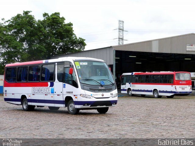 Viação Piracicabana 689 na cidade de Cubatão, São Paulo, Brasil, por Gabriel Dias. ID da foto: 5493580.