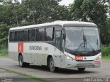 Borborema Imperial Transportes 049 na cidade de Recife, Pernambuco, Brasil, por Luiz Carlos de Santana. Número da foto: #5495740.