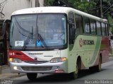 Rouxinol 595 na cidade de Ribeirão das Neves, Minas Gerais, Brasil, por Marcelo Ribeiro. Número da foto: #:id.