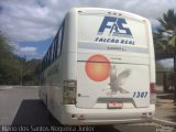 Falcão Real 1307 na cidade de Piritiba, Bahia, Brasil, por Mario dos Santos Nogueira Junior. Número da foto: #5504065.