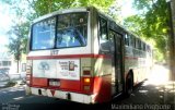 COETC - Cooperativa de Obreros y Empleados del Transporte Coletivo 177 na cidade de , por Maximiliano Priggione  Maximilianopriggione. Número da foto: #5505783.
