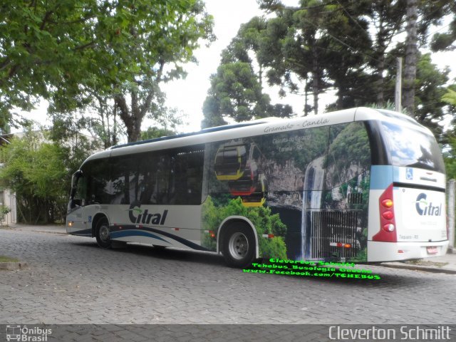 Citral Transporte e Turismo 3503 na cidade de Canela, Rio Grande do Sul, Brasil, por Cleverton Schmitt. Número da foto: #5509612.