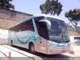 Rosa Turismo 3997 na cidade de Rio de Janeiro, Rio de Janeiro, Brasil, por Carlos Henrique Gonçalves da Silva. Número da foto: #:id.