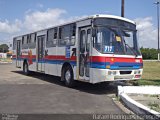 Transporte Tropical 4102 na cidade de Aracaju, Sergipe, Brasil, por Rafael Rodrigues Forencio. Número da foto: #5506900.