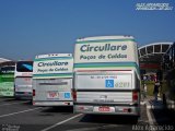 Auto Omnibus Circullare 6201 na cidade de Aparecida, São Paulo, Brasil, por Alex Aparecido. Número da foto: #5465869.