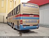 Brunatur 9010 na cidade de São Paulo, São Paulo, Brasil, por Eric Silva. Número da foto: #5515254.