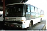 Expresso Albatroz 731 na cidade de Santa Cruz do Sul, Rio Grande do Sul, Brasil, por Daniel Espindola Dorneles. Número da foto: #5516655.
