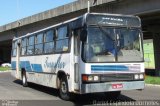 Transflor - Transporte Anflor 105 na cidade de Osório, Rio Grande do Sul, Brasil, por Daniel Espindola Dorneles. Número da foto: #5520727.