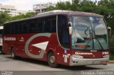 Expresso Gardenia 3165 na cidade de São Paulo, São Paulo, Brasil, por Douglas Paternezi. Número da foto: #5525801.