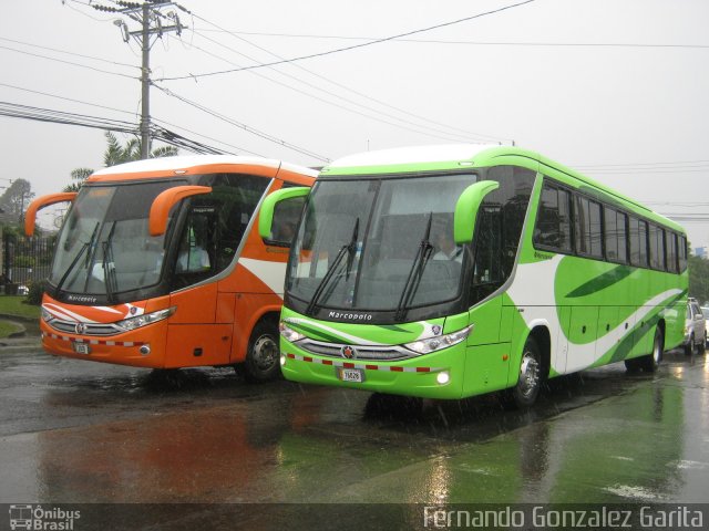 Caribeños 100 na cidade de Alto Paraíso de Goiás, Goiás, Brasil, por Fernando Gonzalez Garita. ID da foto: 5528112.