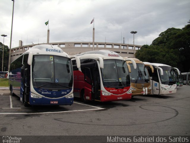 Transportadora Turística Benfica 2016 na cidade de São Paulo, São Paulo, Brasil, por Matheus Gabriel dos Santos. ID da foto: 5527235.