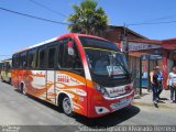 Buses Interbus 259 na cidade de Talca, Talca, Maule, Chile, por Sebastián Ignacio Alvarado Herrera. Número da foto: #:id.